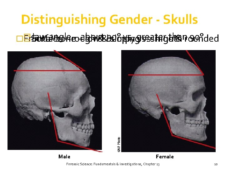 Distinguishing Gender - Skulls Jaw angle ––about 90° vs. greater than 90° �� � Distinguishing Gender - Skulls Jaw angle ––about 90° vs. greater than 90° �� �