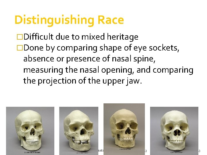 Distinguishing Race �Difficult due to mixed heritage �Done by comparing shape of eye sockets, Distinguishing Race �Difficult due to mixed heritage �Done by comparing shape of eye sockets,