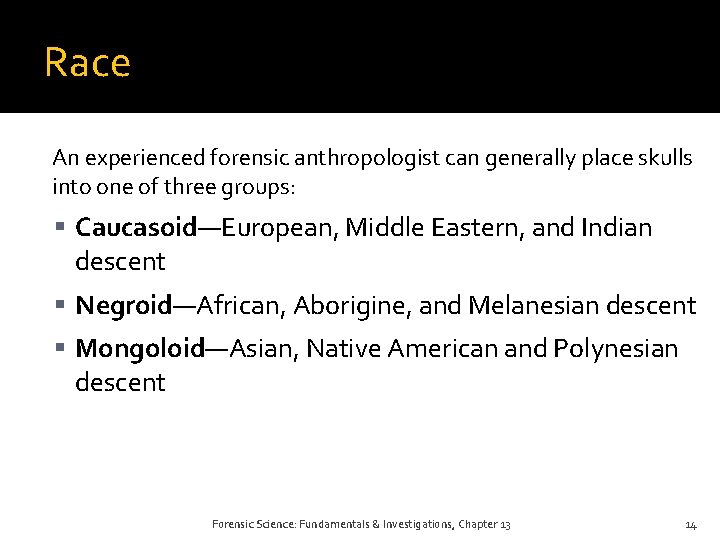 Race An experienced forensic anthropologist can generally place skulls into one of three groups: Race An experienced forensic anthropologist can generally place skulls into one of three groups: