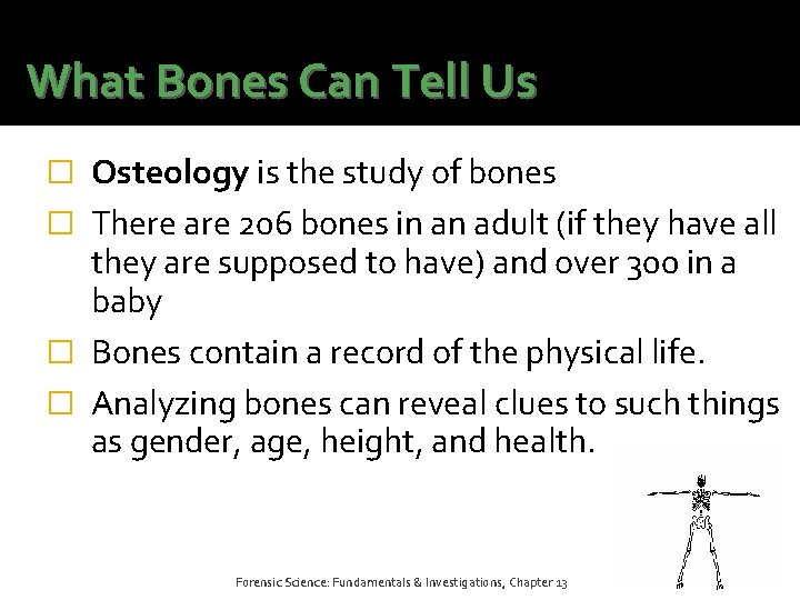 What Bones Can Tell Us � Osteology is the study of bones � There What Bones Can Tell Us � Osteology is the study of bones � There