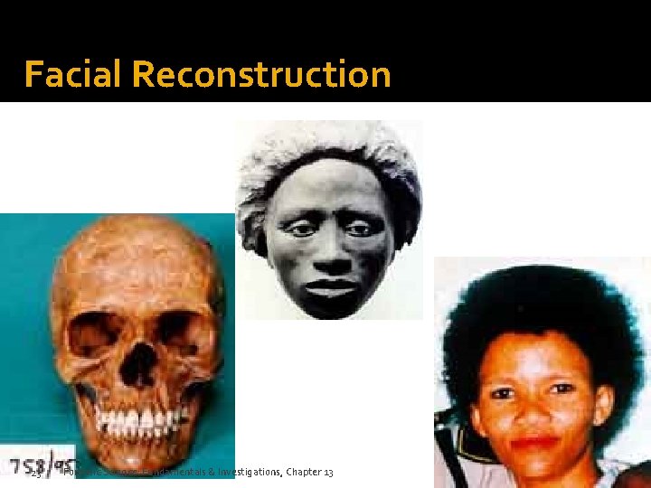 Facial Reconstruction 23 Forensic Science: Fundamentals & Investigations, Chapter 13 Facial Reconstruction 23 Forensic Science: Fundamentals & Investigations, Chapter 13