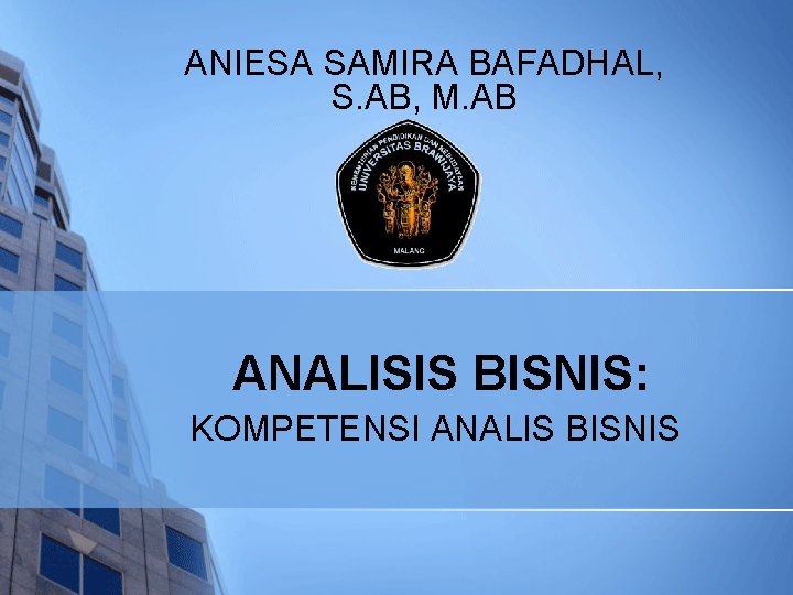 ANIESA SAMIRA BAFADHAL, S. AB, M. AB ANALISIS BISNIS: KOMPETENSI ANALIS BISNIS 