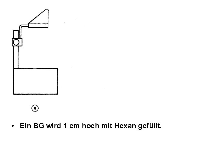 • Ein BG wird 1 cm hoch mit Hexan gefüllt. • Ein BG wird 1 cm hoch mit Hexan gefüllt.