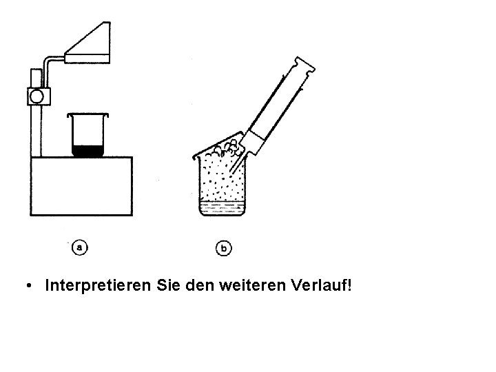  • Interpretieren Sie den weiteren Verlauf! 