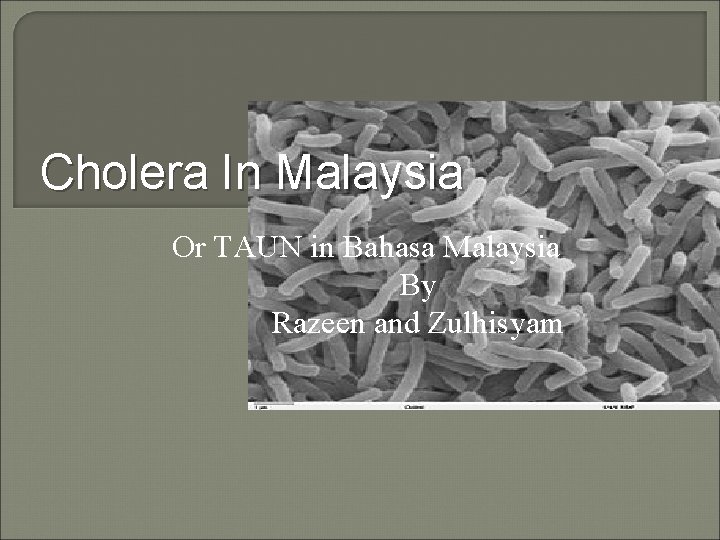 Cholera In Malaysia Or TAUN in Bahasa Malaysia By Razeen and Zulhisyam 