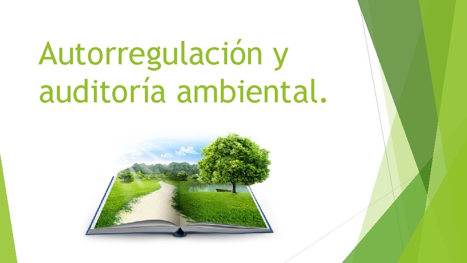 Autorregulación y auditoría ambiental. 