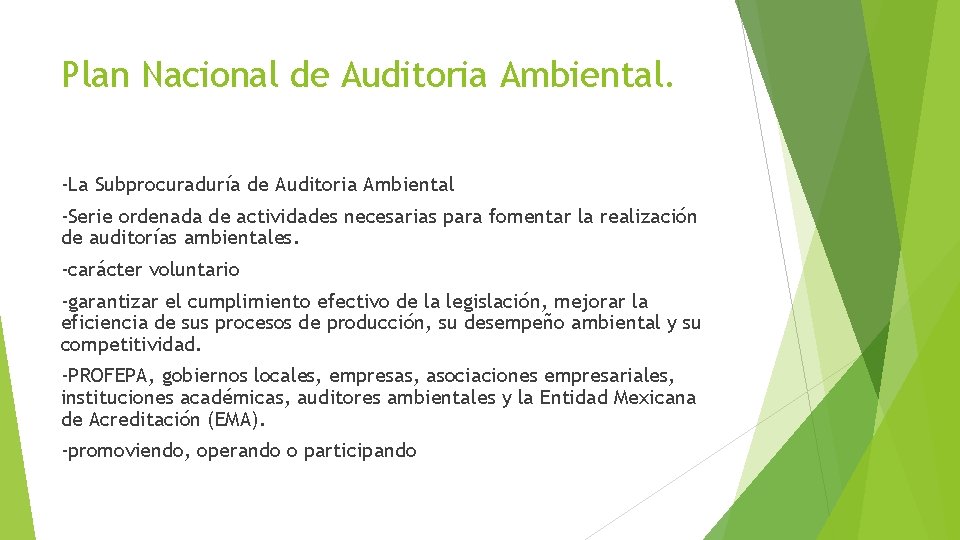 Plan Nacional de Auditoria Ambiental. -La Subprocuraduría de Auditoria Ambiental -Serie ordenada de actividades