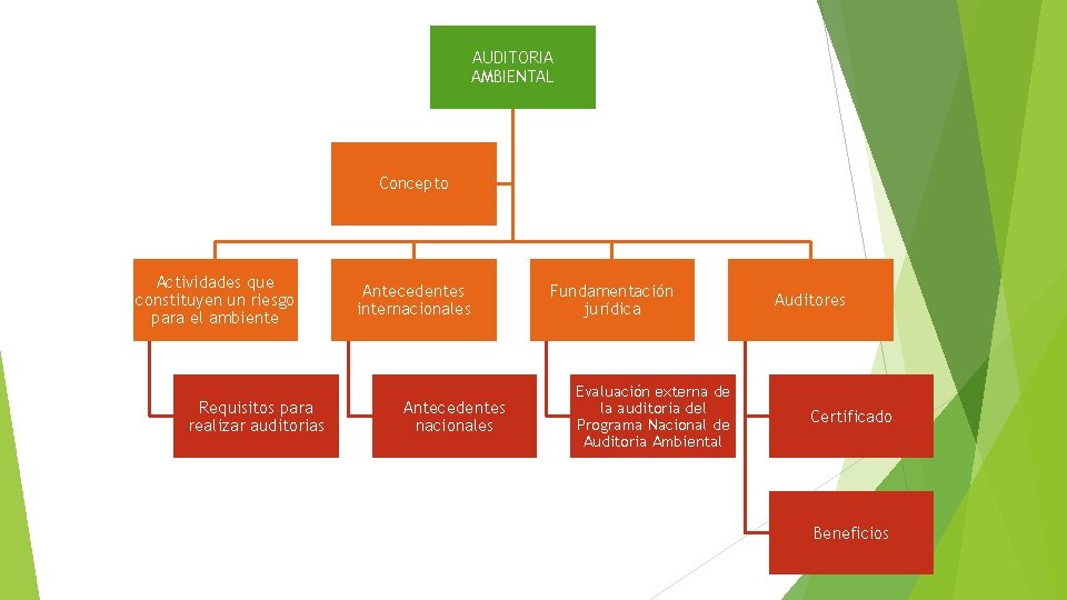AUDITORIA AMBIENTAL Concepto Actividades que constituyen un riesgo para el ambiente Requisitos para realizar