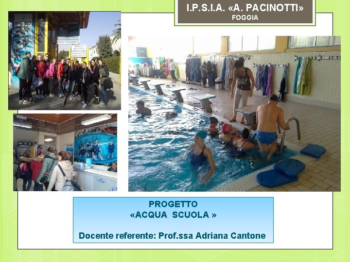 I. P. S. I. A. «A. PACINOTTI» FOGGIA PROGETTO «ACQUA SCUOLA » Docente referente: