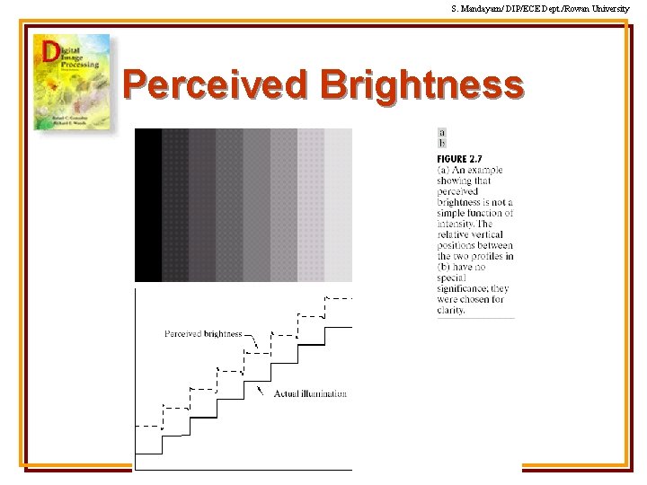 S. Mandayam/ DIP/ECE Dept. /Rowan University Perceived Brightness S. Mandayam/ DIP/ECE Dept. /Rowan University Perceived Brightness