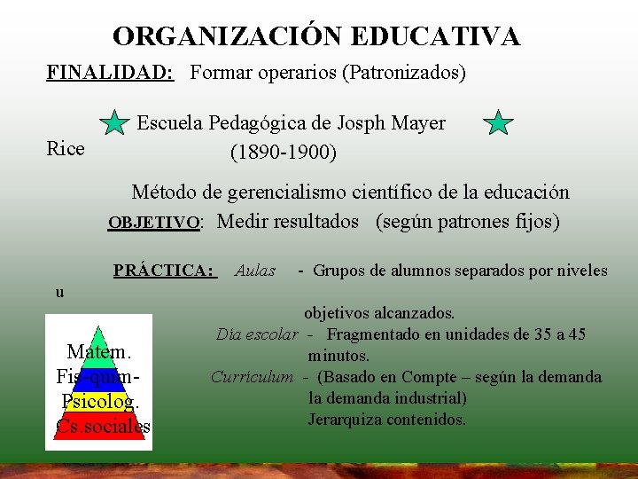 ORGANIZACIÓN EDUCATIVA FINALIDAD: Formar operarios (Patronizados) Rice Escuela Pedagógica de Josph Mayer (1890 -1900) ORGANIZACIÓN EDUCATIVA FINALIDAD: Formar operarios (Patronizados) Rice Escuela Pedagógica de Josph Mayer (1890 -1900)