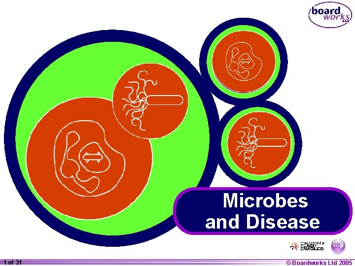 Microbes and Disease 1 of 31 20 © Boardworks Ltd 2005 2004 