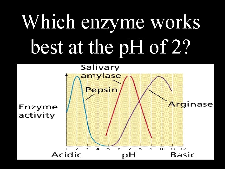 Which enzyme works best at the p. H of 2? 