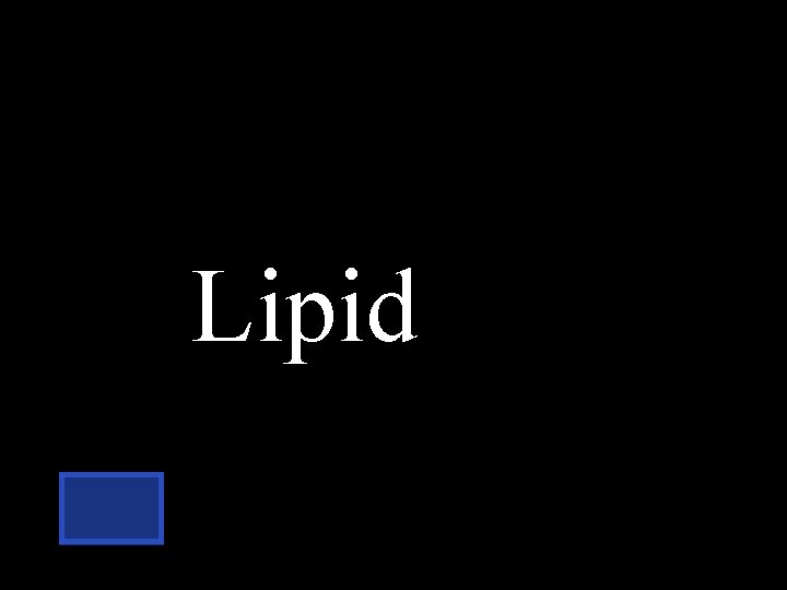 Lipid 