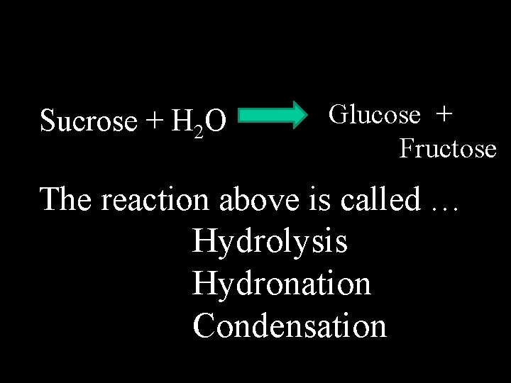 Sucrose + H 2 O Glucose + Fructose The reaction above is called …
