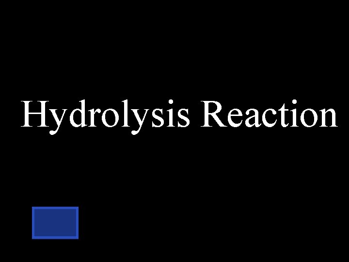 Hydrolysis Reaction 