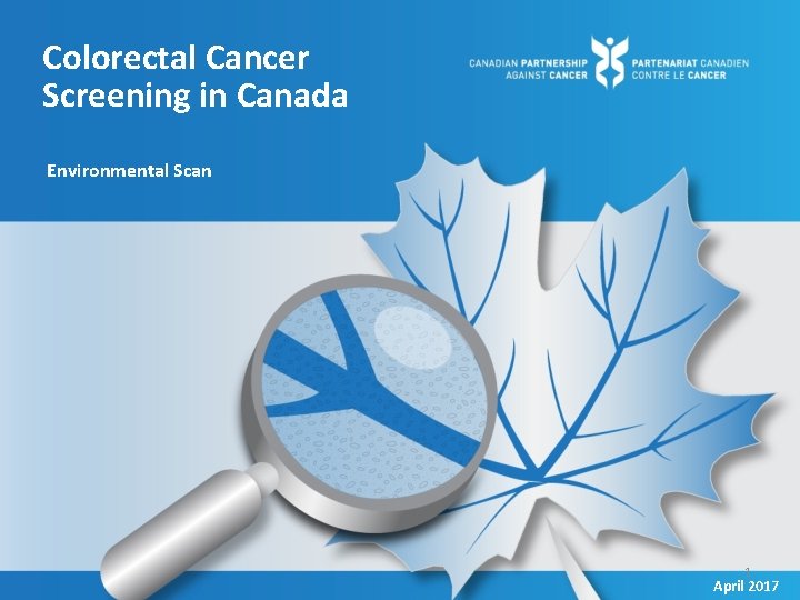 Colorectal Cancer Screening in Canada Environmental Scan 1