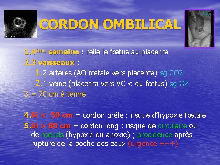 Physiologie De La Grossesse Dr Laurent Beinert Cme