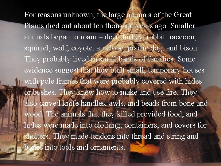 For reasons unknown, the large animals of the Great Plains died out about ten
