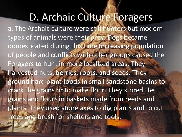 D. Archaic Culture Foragers a. The Archaic culture were still hunters but modern types
