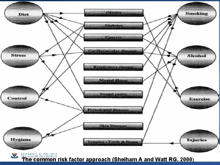 The common risk factor approach (Sheiham A and Watt RG. 2000) The common risk factor approach (Sheiham A and Watt RG. 2000)