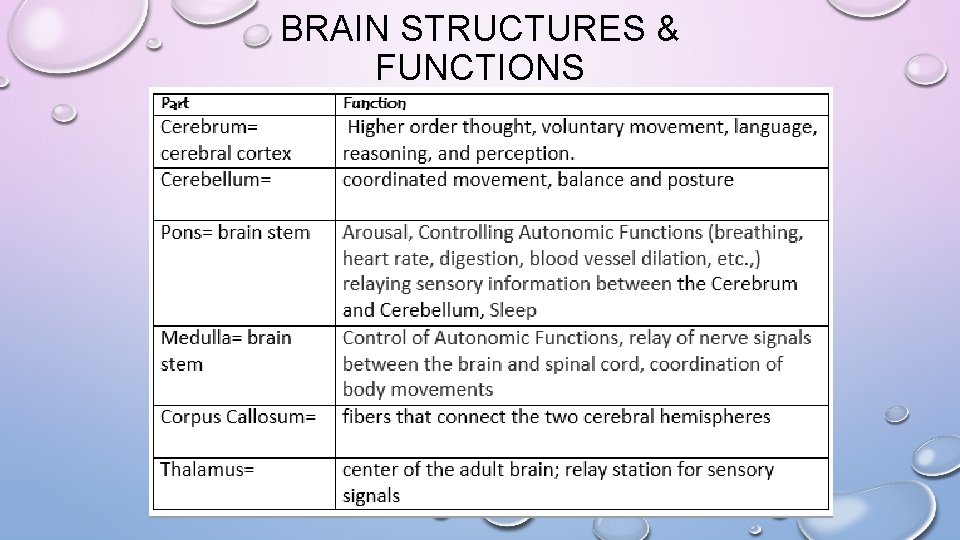 BRAIN STRUCTURES & FUNCTIONS 