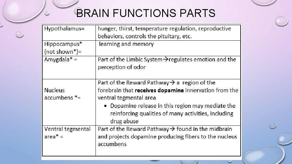 BRAIN FUNCTIONS PARTS 