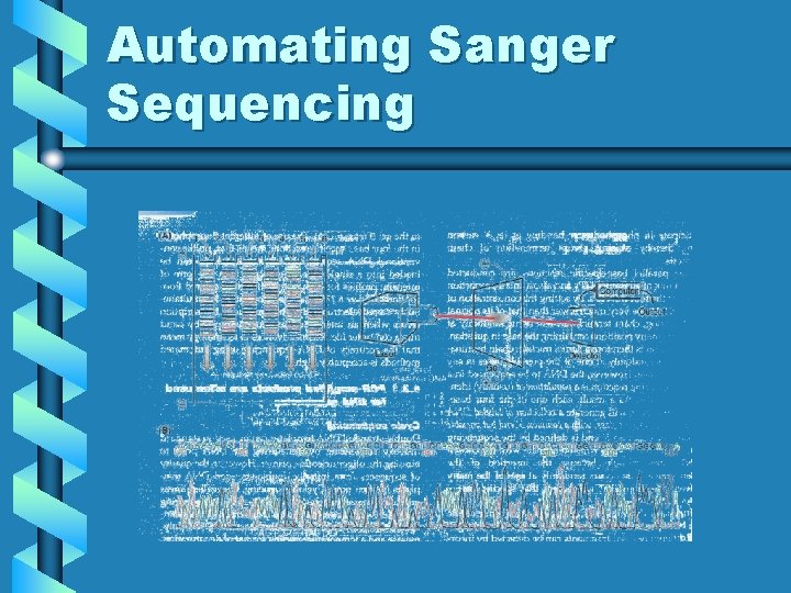 Automating Sanger Sequencing Automating Sanger Sequencing