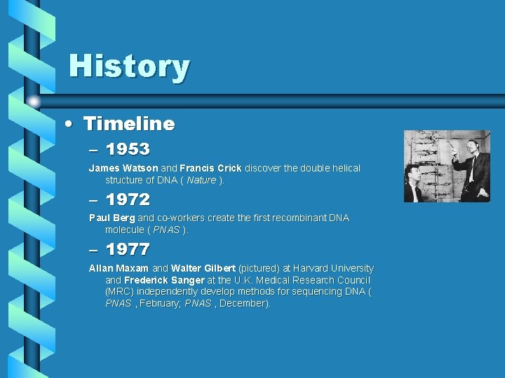 History • Timeline – 1953 James Watson and Francis Crick discover the double helical