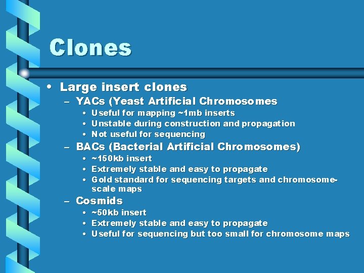 Clones • Large insert clones – YACs (Yeast Artificial Chromosomes • • • Useful