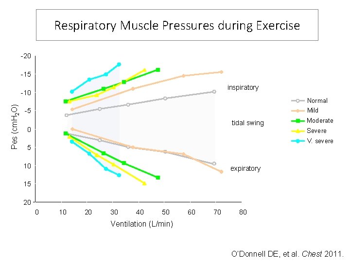 Respiratory Muscle Pressures during Exercise -20 -15 inspiratory Pes (cm. H 2 O) -10