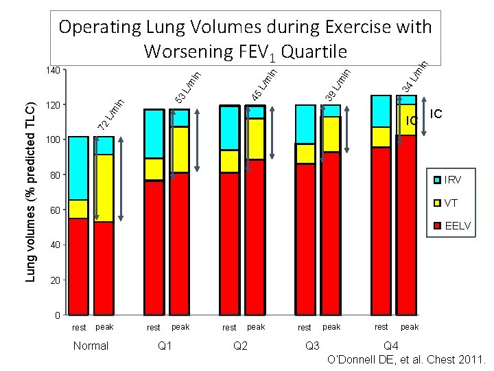 L/m in 34 L/m 39 45 53 L/m in 120 IC 72 Lung volumes