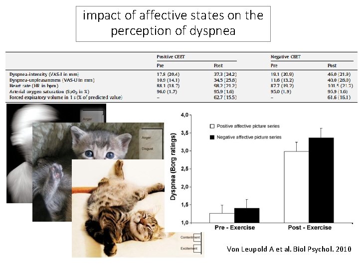 impact of affective states on the perception of dyspnea Von Leupold A et al.