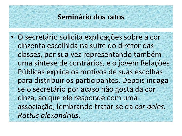 Seminário dos ratos • O secretário solicita explicações sobre a cor cinzenta escolhida na