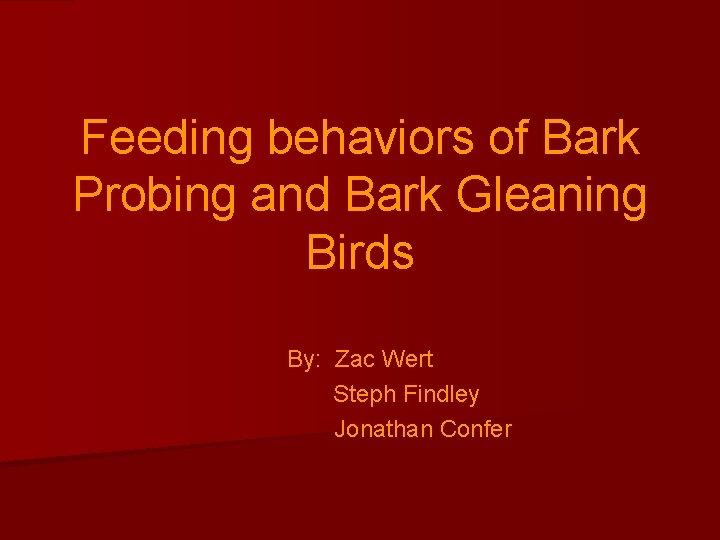 Feeding behaviors of Bark Probing and Bark Gleaning Birds By: Zac Wert Steph Findley