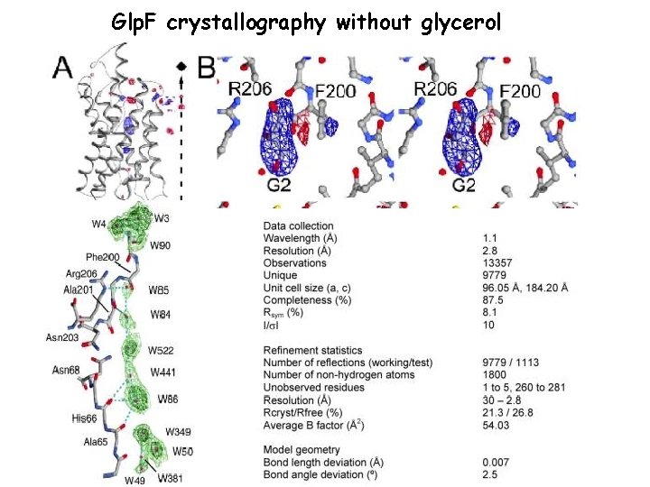 Glp. F crystallography without glycerol 
