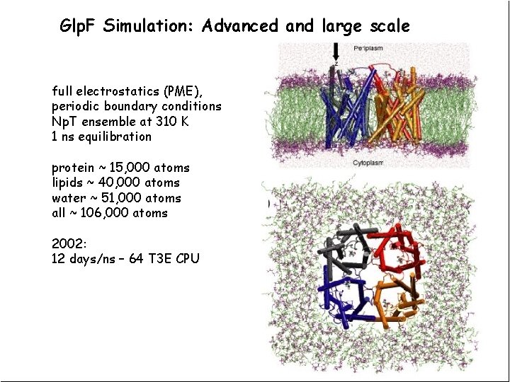 Glp. F Simulation: Advanced and large scale full electrostatics (PME), periodic boundary conditions Np.