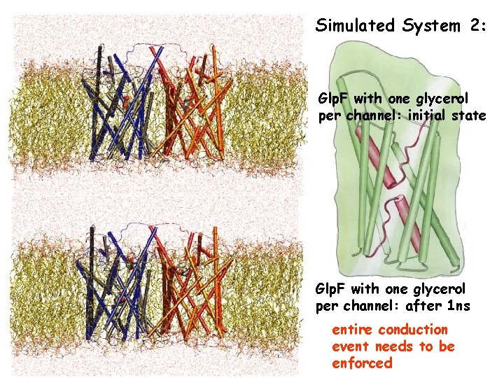 Simulated System 2: Glp. F with one glycerol per channel: initial state Glp. F