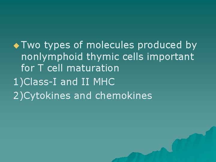 u Two types of molecules produced by nonlymphoid thymic cells important for T cell