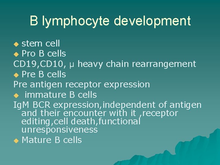 B lymphocyte development stem cell u Pro B cells CD 19, CD 10, µ