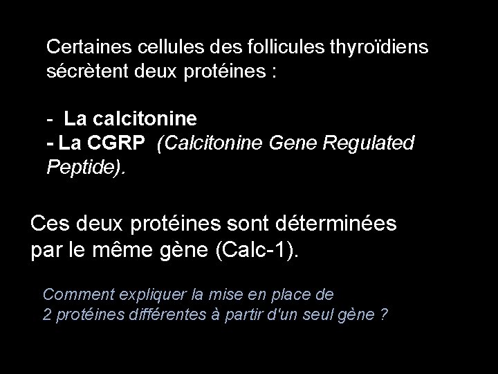 Certaines cellules des follicules thyroïdiens sécrètent deux protéines : - La calcitonine - La