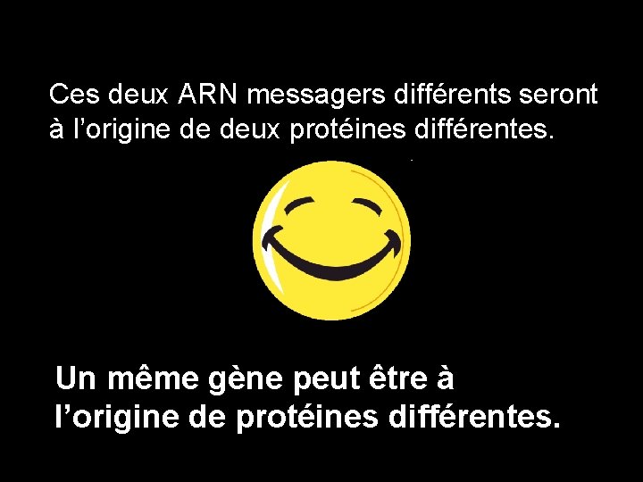 Ces deux ARN messagers différents seront à l’origine de deux protéines différentes. Un même