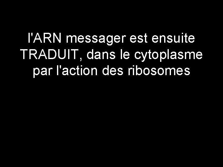 l'ARN messager est ensuite TRADUIT, dans le cytoplasme par l'action des ribosomes 