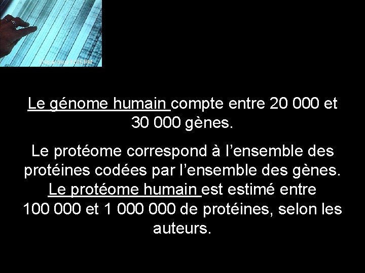 Depardieu/INSERM Le génome humain compte entre 20 000 et 30 000 gènes. Le protéome