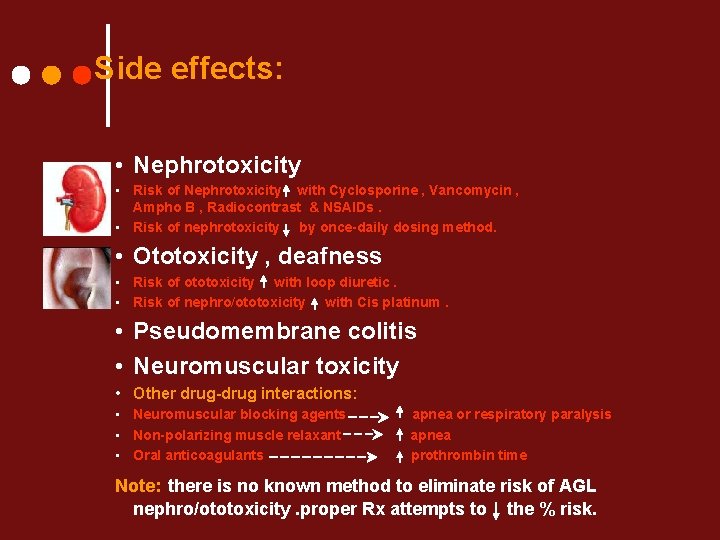 Side effects: • Nephrotoxicity • Risk of Nephrotoxicity with Cyclosporine , Vancomycin , Ampho