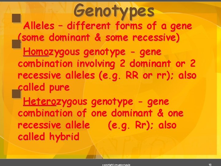 § § Genotypes Alleles – different forms of a gene (some dominant & some