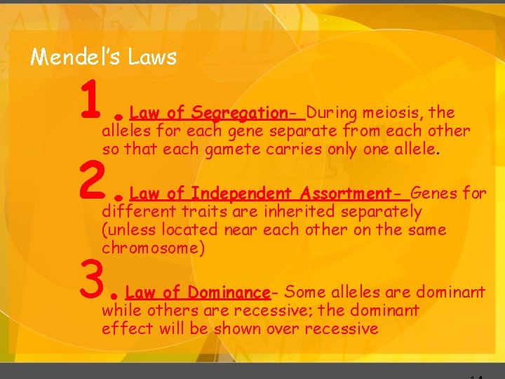 Mendel’s Laws 1. Law of Segregation- During meiosis, the alleles for each gene separate