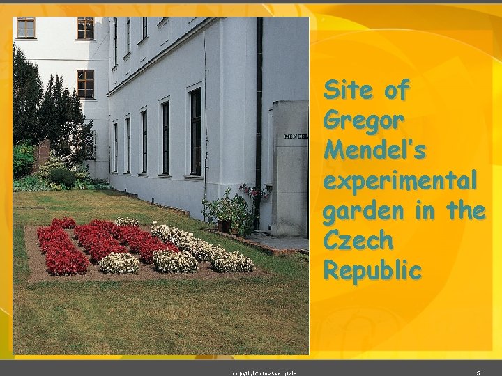 Site of Gregor Mendel’s experimental garden in the Czech Republic copyright cmassengale 5 