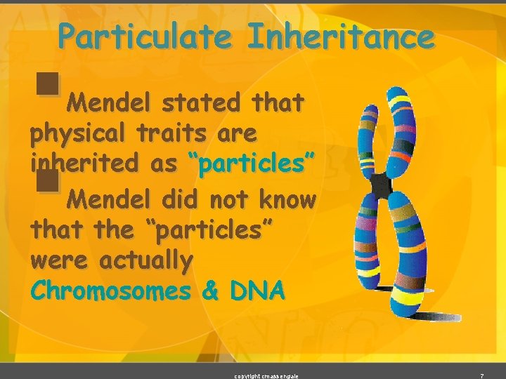 Particulate Inheritance § § Mendel stated that physical traits are inherited as “particles” Mendel