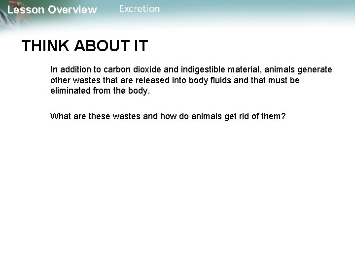 Lesson Overview Excretion THINK ABOUT IT In addition to carbon dioxide and indigestible material,